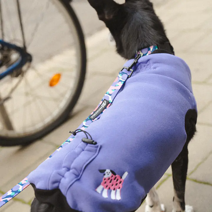 Haftowana bluza dla psa "Purple"   - Master