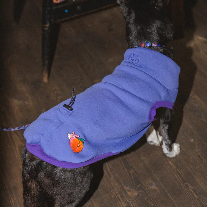 Haftowana bluza dla psa "Purple"   - Master