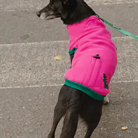 Haftowana bluza dla psa "Pink"   - Master