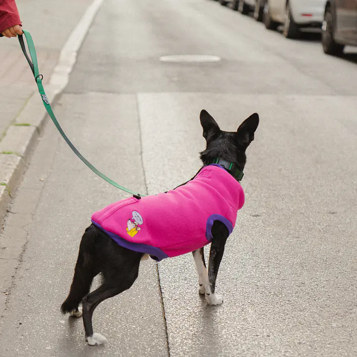 Haftowana bluza dla psa "Pink"   - Master