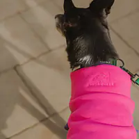 Haftowana bluza dla psa "Pink"   - Master