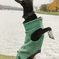 Haftowana bluza dla psa "Green"   - Master