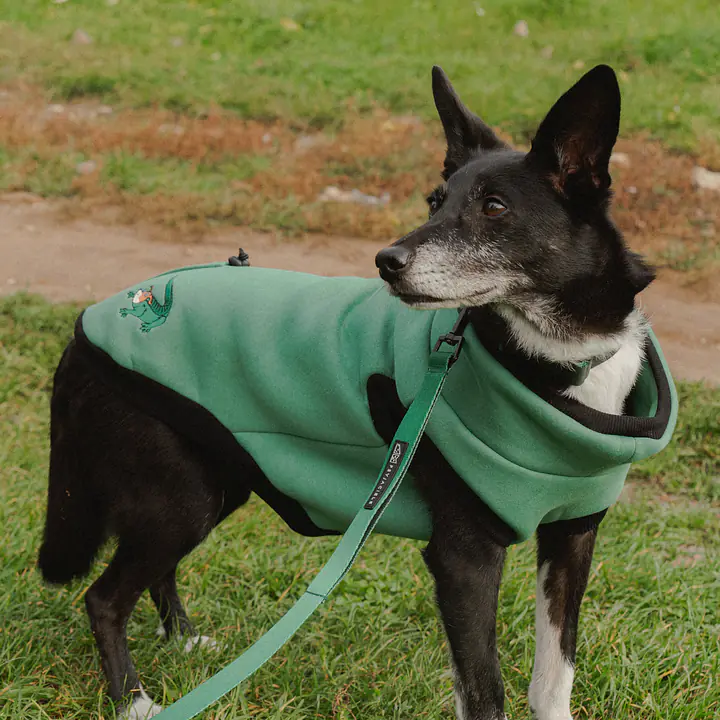 Haftowana bluza dla psa "Green"   - Master