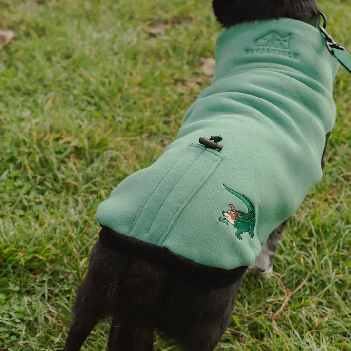 Haftowana bluza dla psa "Green"   - Master