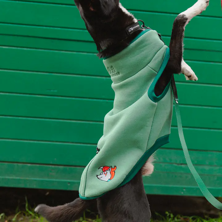 Haftowana bluza dla psa "Green"   - Master