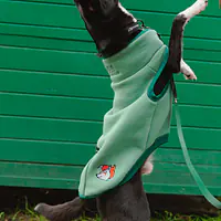 Haftowana bluza dla psa "Green"   - Master