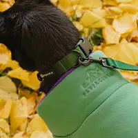 Haftowana bluza dla psa "Green"   - Master