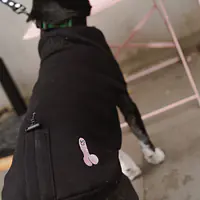 Haftowana bluza dla psa "Black"   - Master