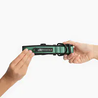 SUPER SOFT dog collar "Under my ombrella" green  - Master