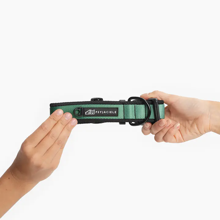 SUPER SOFT dog collar "Under my ombrella" green  - Master