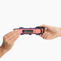 Dog collar SUPER SOFT  "Under my ombrella" orange - Master