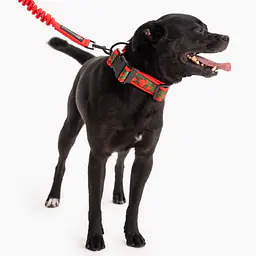 SUPER SOFT dog collar "Doggo in sheep's clothing" - Master