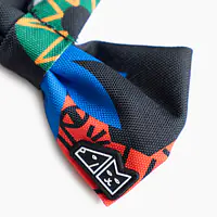 Bow tie "Eye of the tiger" - Master