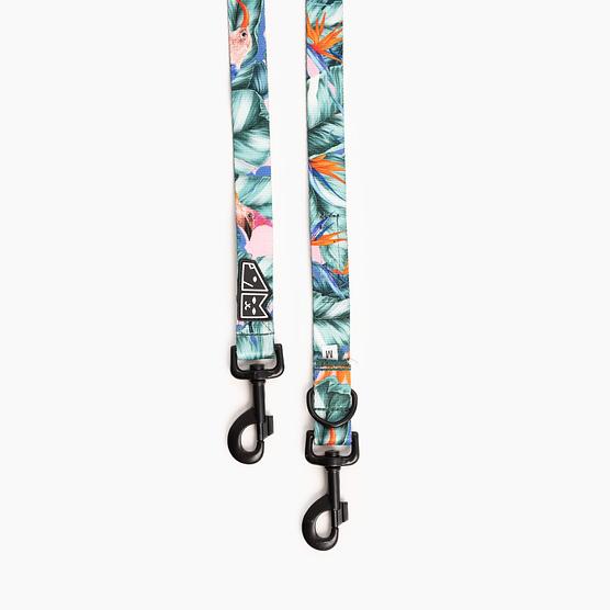 Adjustable leash "Hen's wet dream"
