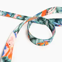 WYPRZEDAZ Smycz przepinana dla psa lub kota "Mokry sen kury" - Master