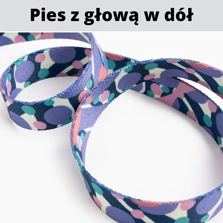 Smycz przepinana dla 2 małych psów - Master