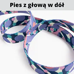 Smycz przepinana dla 2 małych psów - Master