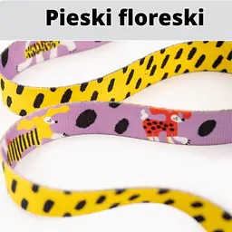 Smycz przepinana dla 2 małych psów - Master