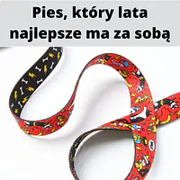 Smycz przepinana dla 2 małych psów - Master