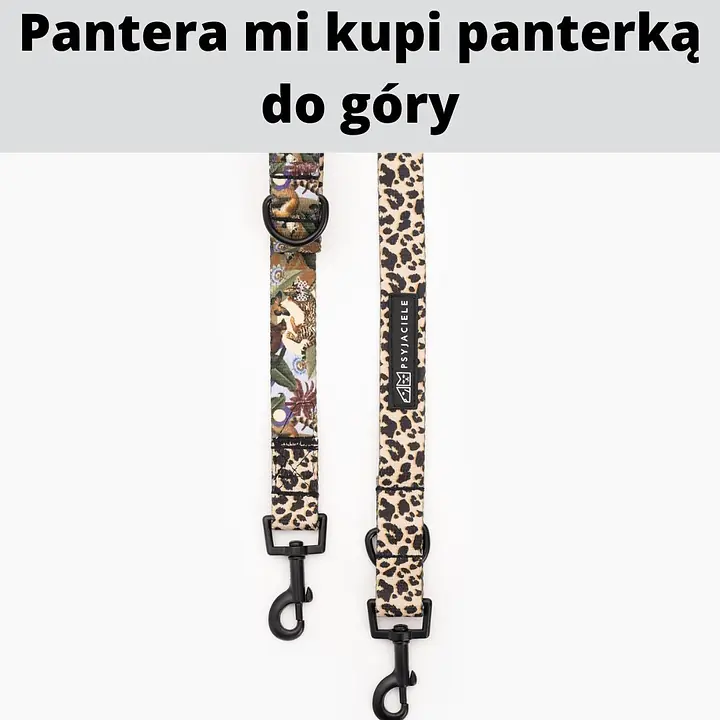 Adjustable leash for 2 small dogs - Master