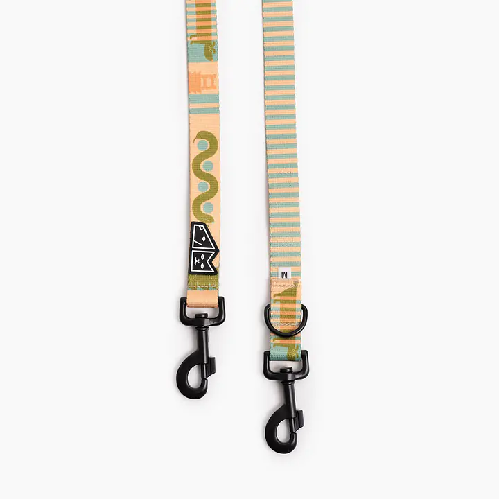 Smycz przepinana dla psa lub kota "Piesss" - Master