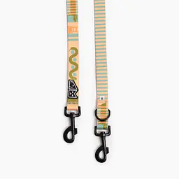 Smycz przepinana dla psa lub kota "Piesss" - Master