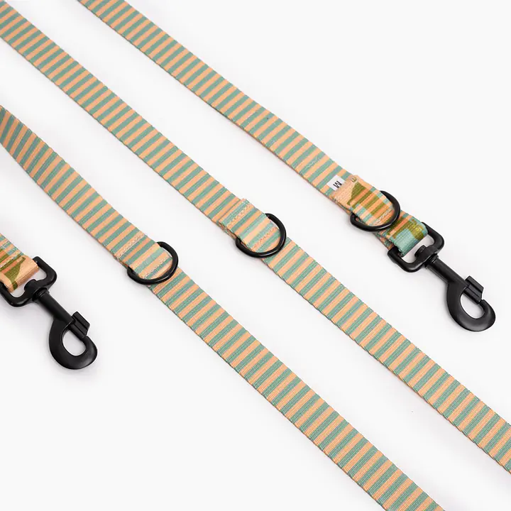 Smycz przepinana dla psa lub kota "Piesss" - Master