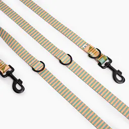 Smycz przepinana dla psa lub kota "Piesss" - Master