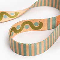 Adjustable leash "Sausage dog" - Master