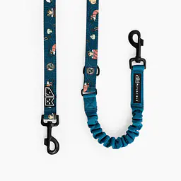 "Doggomaki" leash with a shock absorber - Master