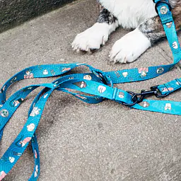 "Doggomaki" leash with a shock absorber - Master