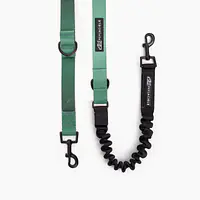 Adjustable leash with shock absorber "Under my umbrella" green  - Master