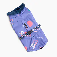 Kurtka dla psa "Pies z głową w dół" - Master