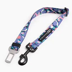"Downward dog" car belts - Master