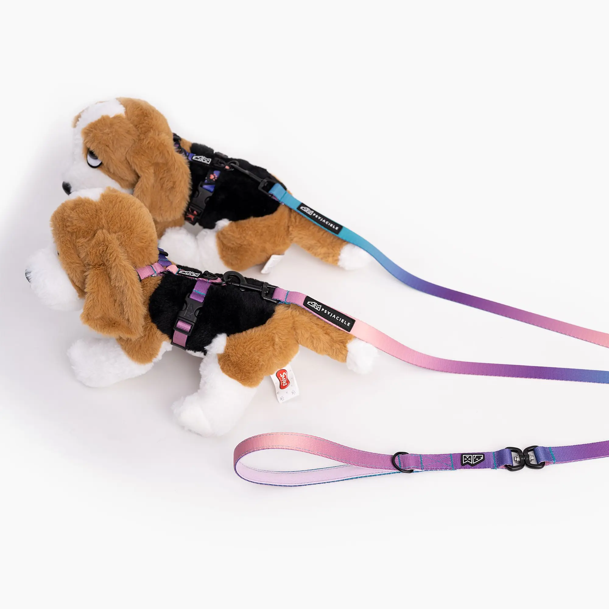 Leash for 2 mini dogs - Master