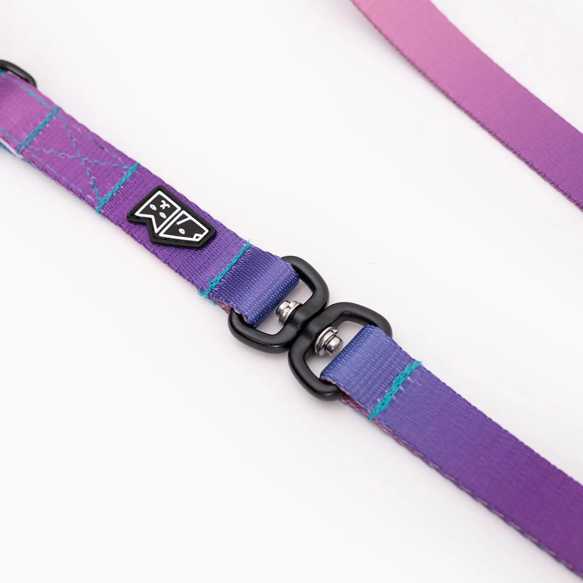 Leash for 2 mini dogs - Master