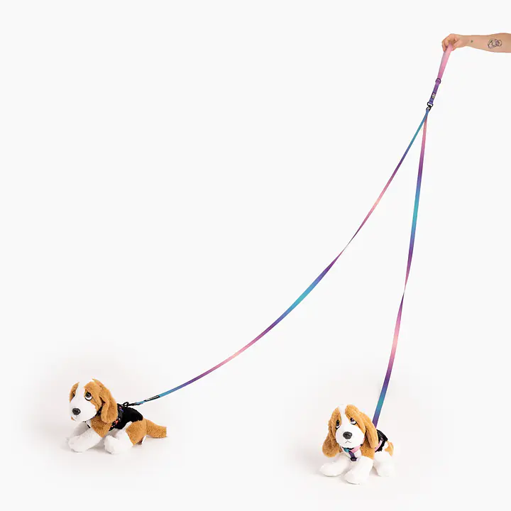 Leash for 2 mini dogs - Master
