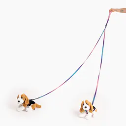 Leash for 2 mini dogs - Master