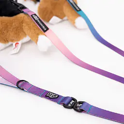 Leash for 2 mini dogs - Master