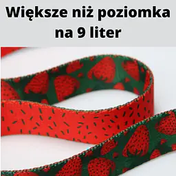 Leash for 2 mini dogs - Master