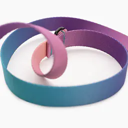 Adjustable leash with shock absorber "Under my umbrella" turquoise  - Master