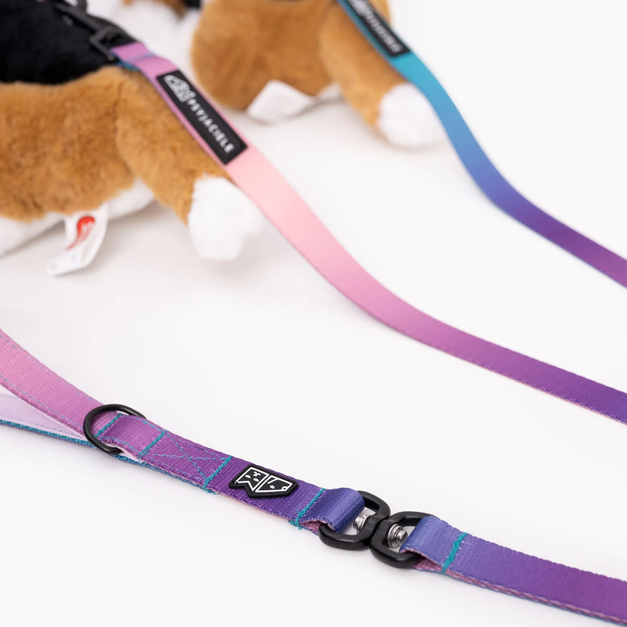 Leash for 2 small dogs - Master