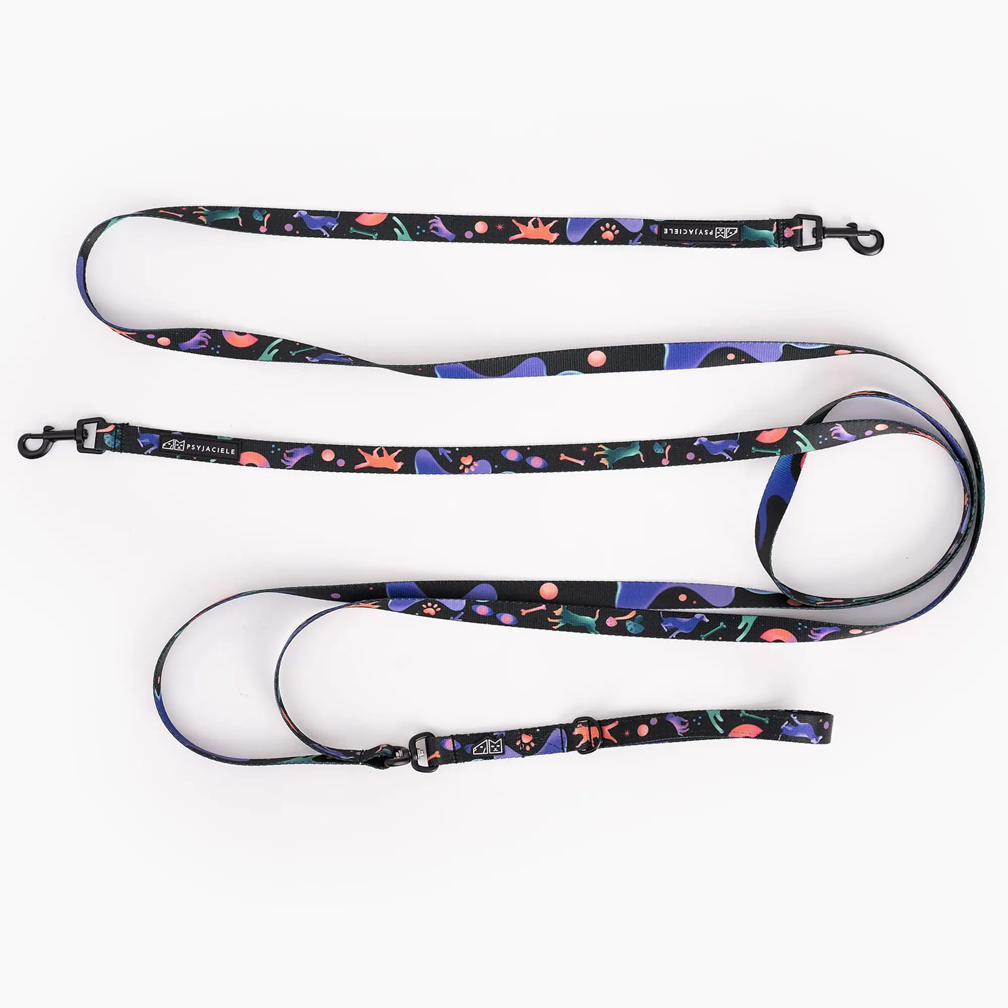 Leash for 2 small dogs - Master
