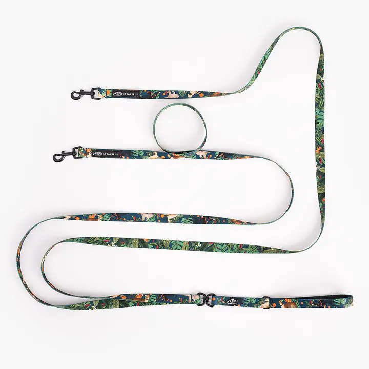 Leash for 2 small dogs - Master