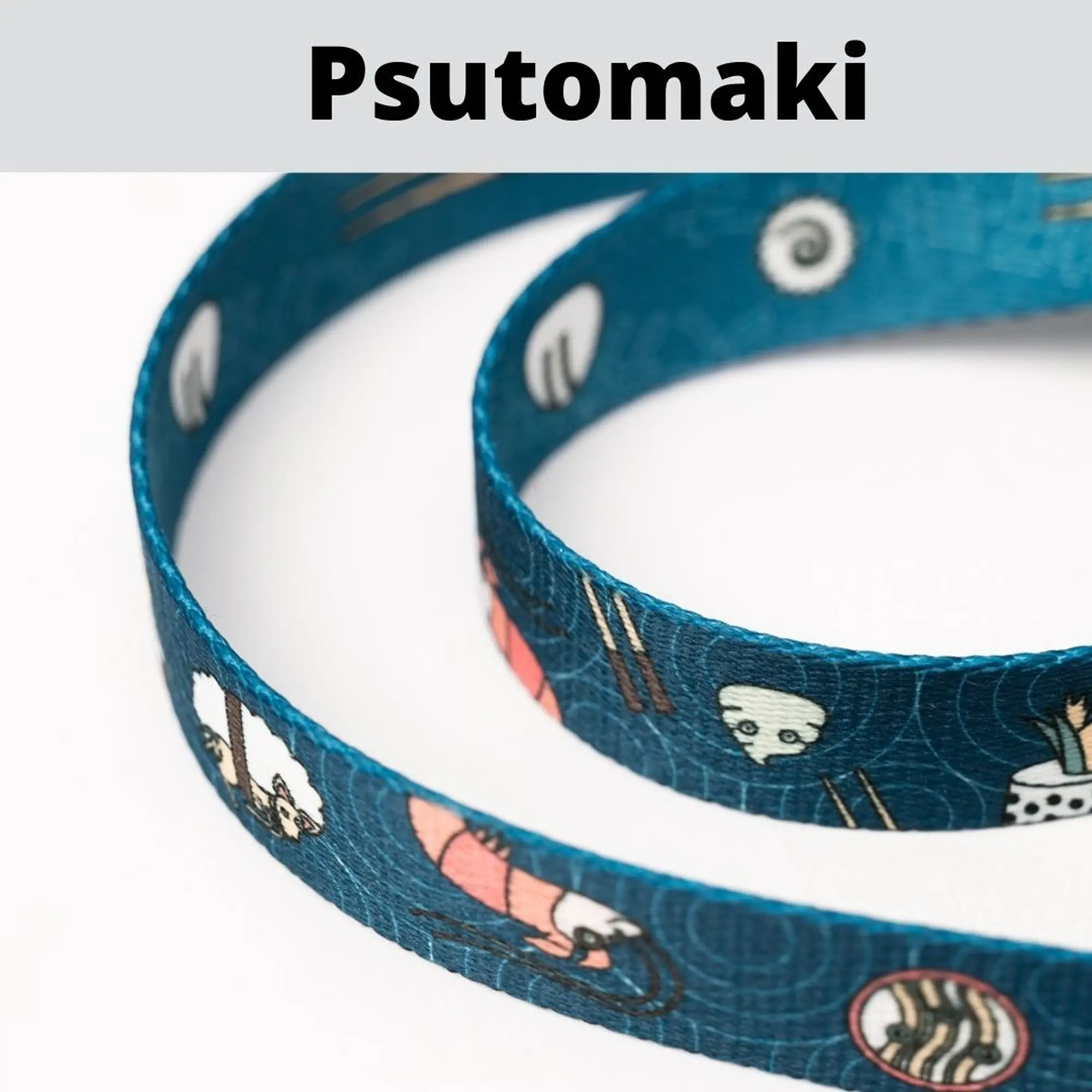 Leash for 2 small dogs - Master