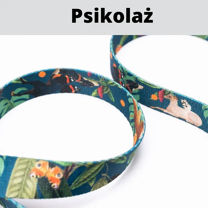 Smycz miejska dla 2 małych psów - Master