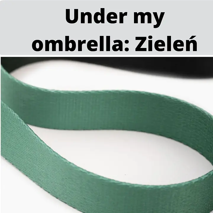 Smycz miejska dla 2 małych psów - Master