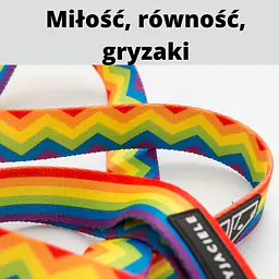 Smycz miejska dla 2 małych psów - Master