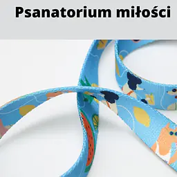 Smycz miejska dla 2 małych psów - Master