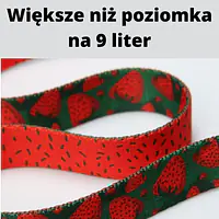 Smycz przepinana dla 2 mikro psów - Master